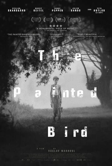 Раскрашенная птица | The Painted Bird (2019)